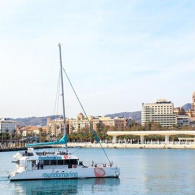 Bay of Malaga Catamaran Sailing 