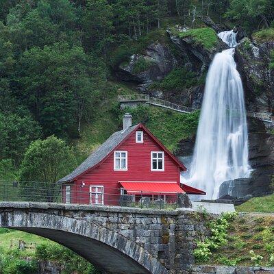 Private Guided Tour of Bergen and the Best of Norwegian Fjords