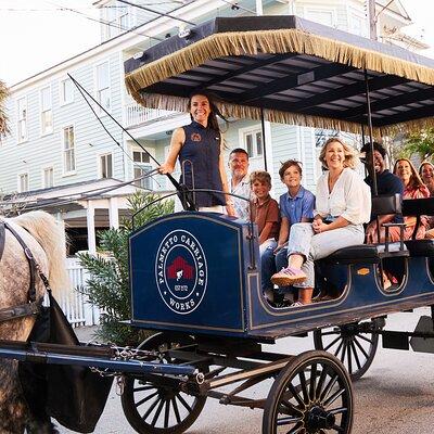 Charleston Horse-Drawn Carriage Tour: Explore Historic Charleston