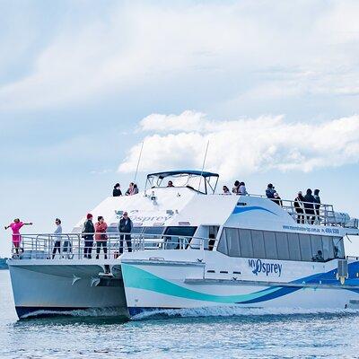 Port Stephens: Dolphin Watch Eco Adventure