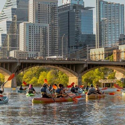 Guided Sunset Bat Kayak Tour in Austin