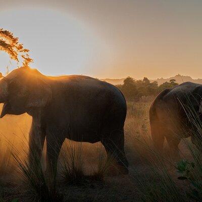 Private Elephant Sanctuary