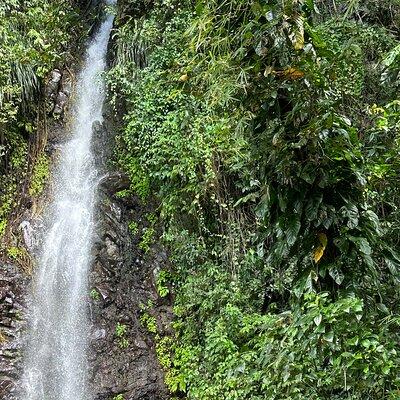 Fun and Exhilarating Experience at Dark View Falls