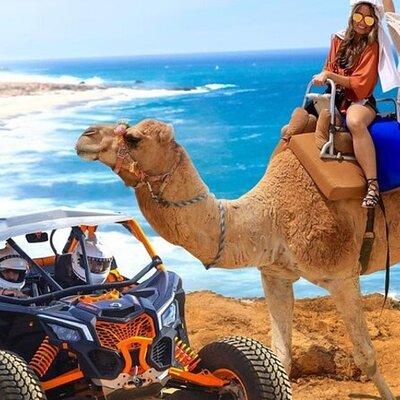 Fun Camel Ride and UTV COMBO with Tequila Tasting!