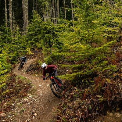 4 Hours Guided Mountain Bike Tour 