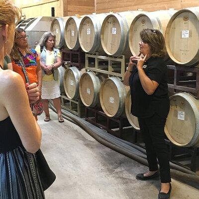 Fredericksburg Hill Country Aficionado Wine Tour from San Antonio