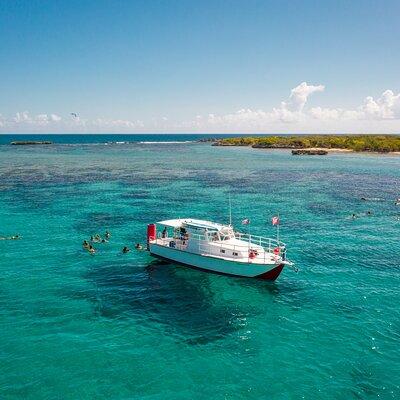 Snorkel to a Local's Secret Spot | Private Charter