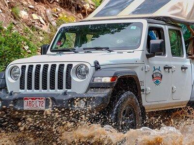 Wildflowers, Waterfalls & Mining History Durango Jeep Tour