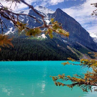 Lake Louise, Emerald Lake and Banff Town from Banff Day Tour