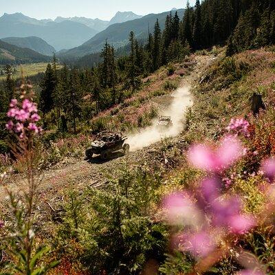 Side-by-Side Off-Roading Tours from Whistler