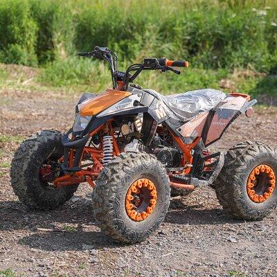 Guided ATV Wilderness Ride in North Gower