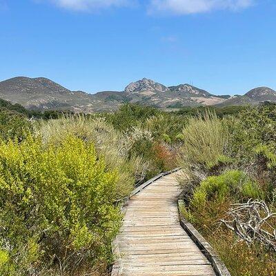 Elfin Forest Nature Tour with Local Sweet and Savory Tasting