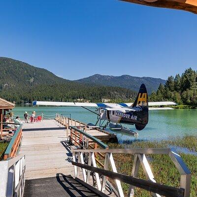  Whistler Glacier Sightseeing Experience by Seaplane 