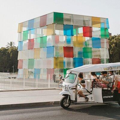 Expert Tour of Malaga in Private Eco Tuk Tuk