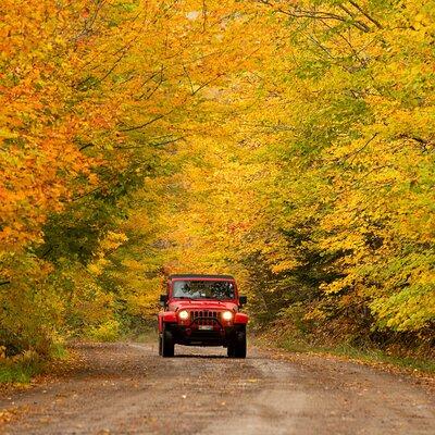 Cape Breton Fall Colours Tour On and Off Road