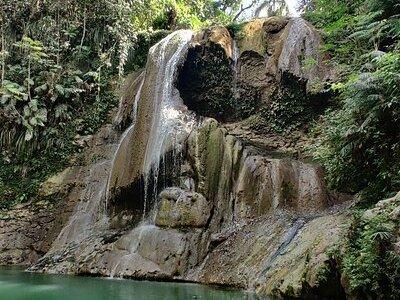 8 Hours Private Tours in Puerto Rico