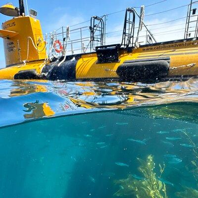 Yellow Semi-Submarine Tour of Catalina Island From Avalon