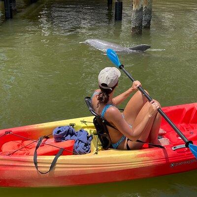 Best Value Guided Kayak Island Tour Standard & Clear Kayak & SUPs