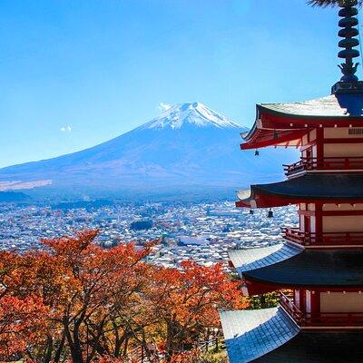 Scenic Spots of Mt Fuji and Lake Kawaguchi 1 Day Bus Tour