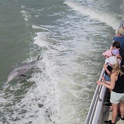 Sunset Dolphin Watch Tour