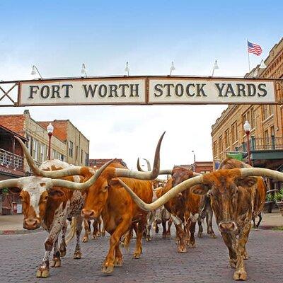 Fort Worth Stockyards Foodie Tour with Food Tours of America