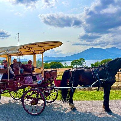 Jaunting Car Tour in Killarney National Park