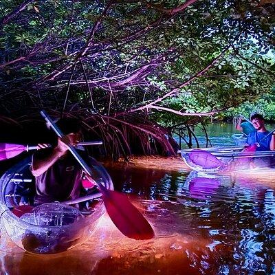 Guided Night Kayak Adventure Tour in Luminous Lagoon