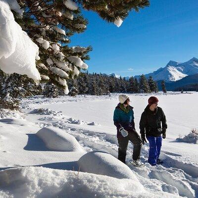 Day Trip to Icefield Parkway, Johnston Canyon from Calgary, Banff