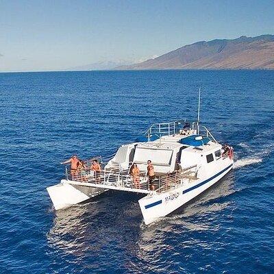 From Ma'alaea Harbor: Afternoon Molokini or Coral Gardens Snorkel Aboard Malolo