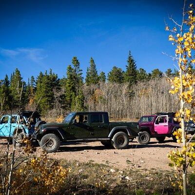 Early Season Special: Scenic Jeep Tour