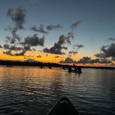 Laguna Grande Night Kayaking Bio Bay