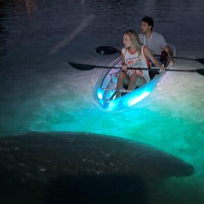 Clear Kayak Manatee Viewing Sunset and Glow Tour of Crystal River