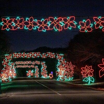 LIghts of Joy Christmas Light Drive-Thru