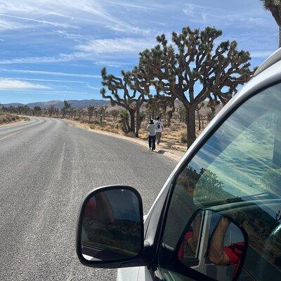 Joshua Tree National Park Private Tour (up to 10 people)