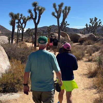 Sightseeing Adventure Tour of Joshua Tree National Park