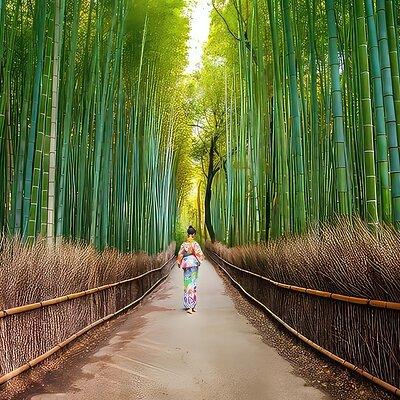 Kyoto Arashiyama Walking Tour - Bamboo, Monkeys, Temple & Secrets