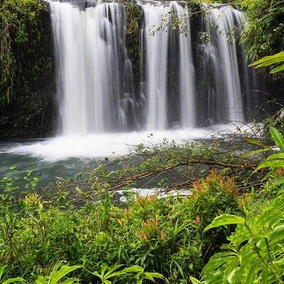 Private Road to Hana Rainforest & Waterfall Experience from Maui 