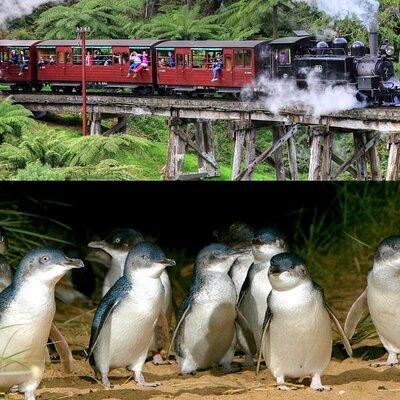 Puffing Billy And Phillip Island Penguin Parade Bus Tour