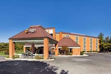 Comfort Inn-Virginia Horse Center