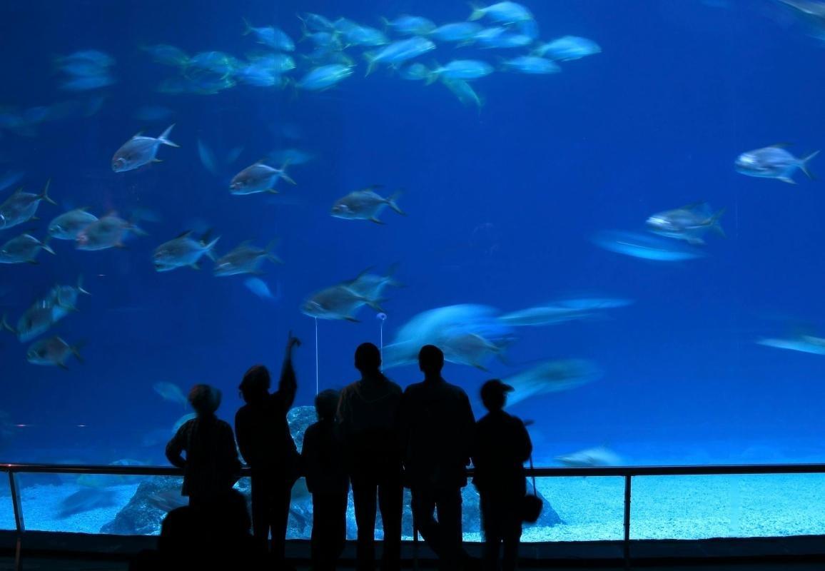 Aquarium of Western Australia (AQWA)