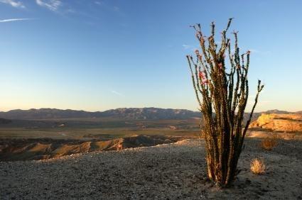 Anza-Borrego Desert State Park