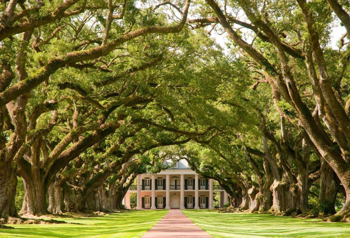 Oak Alley Plantation