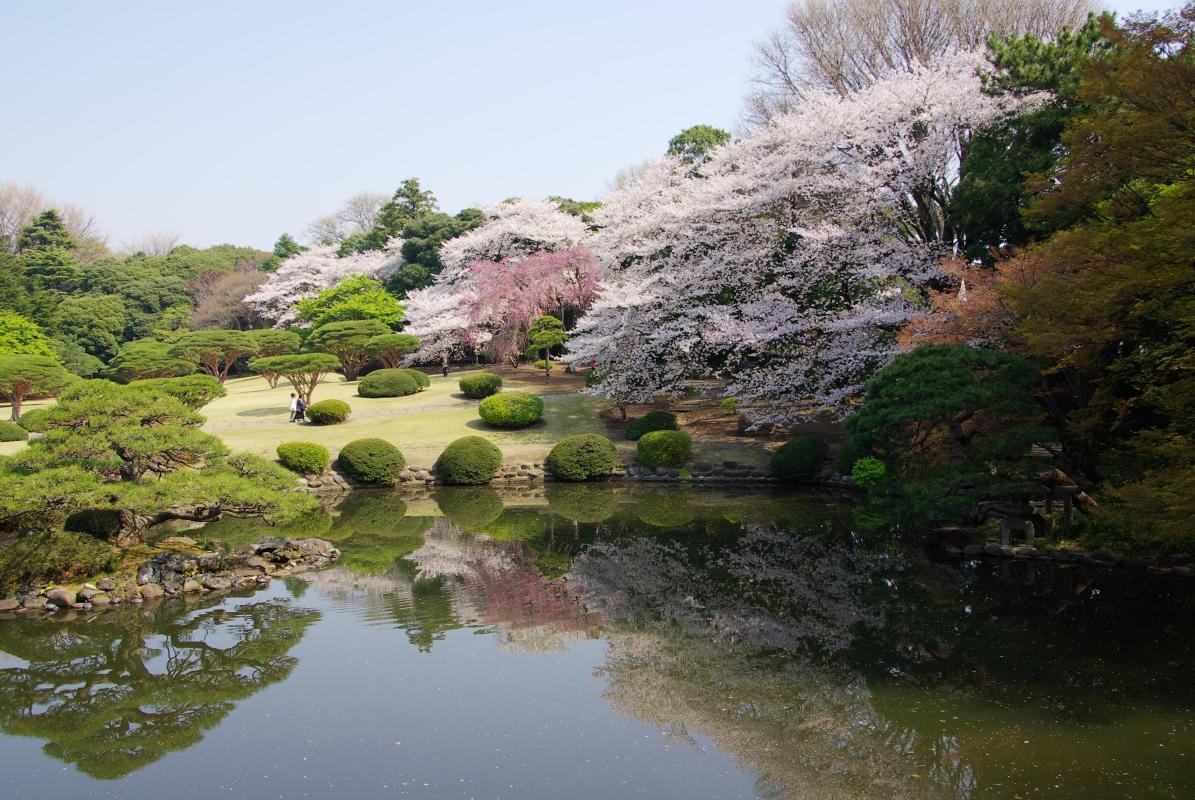 Shinjuku Park (Shinjuku Gyoen)