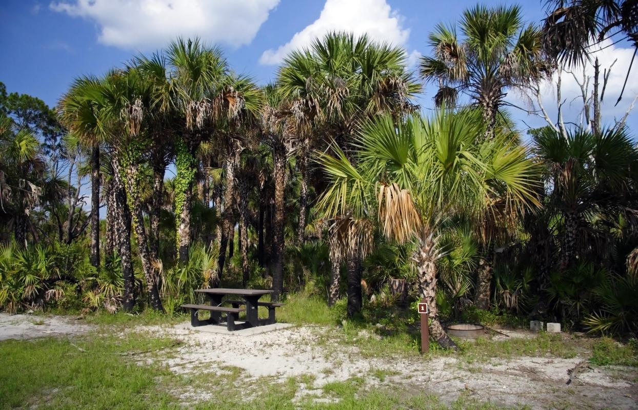 Big Cypress National Preserve