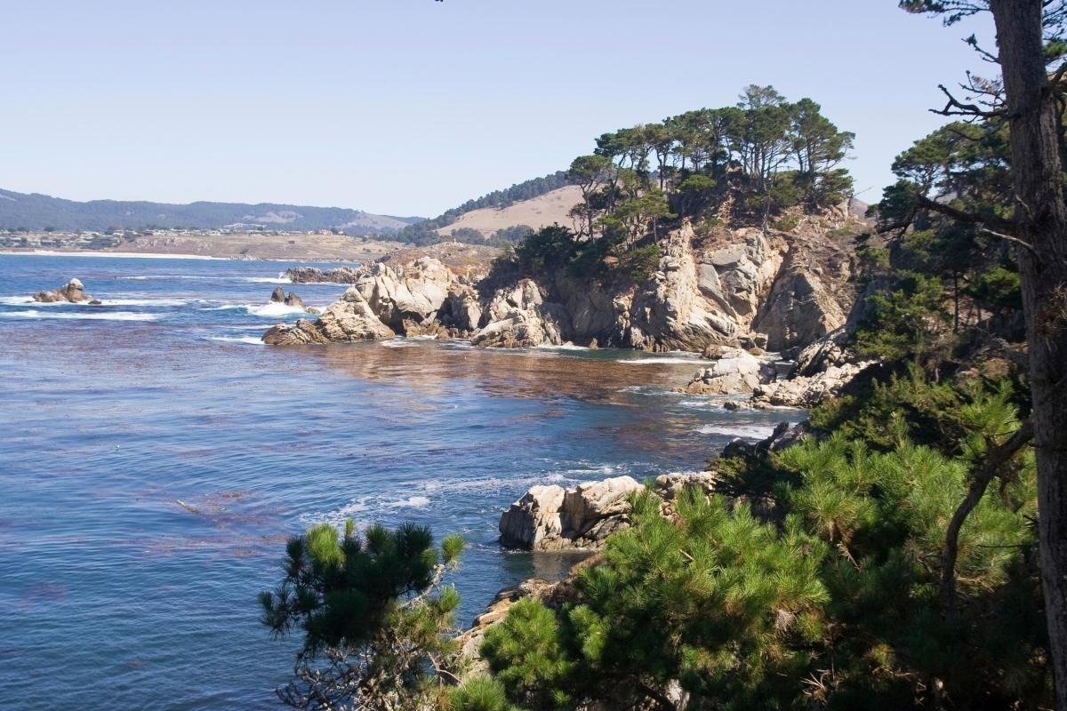 Point Lobos State Natural Reserve