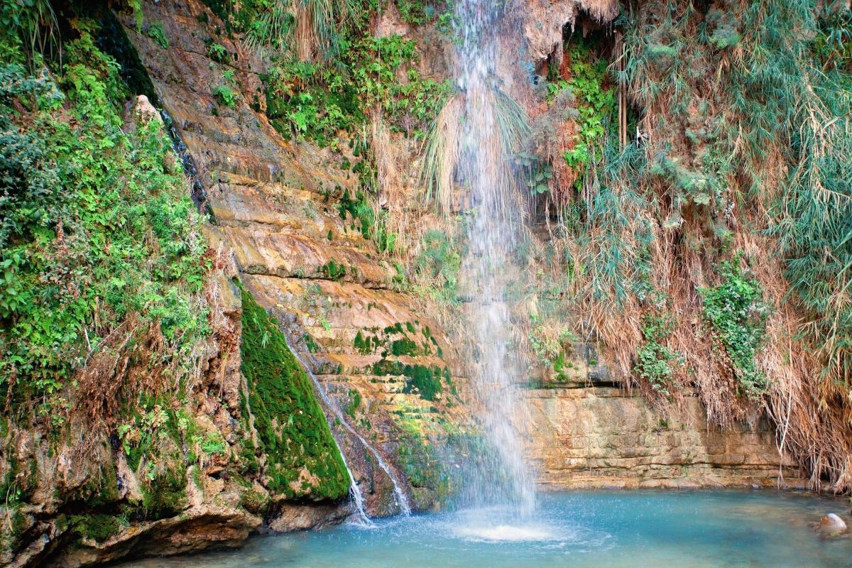 Ein Gedi Nature Reserve