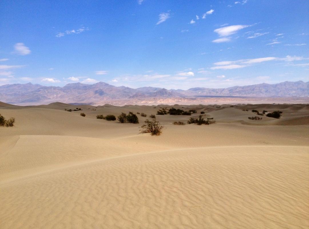 Mojave Desert