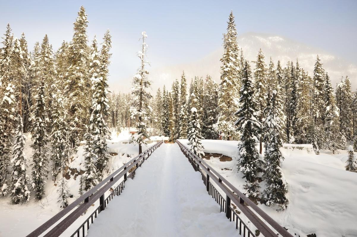 Yoho National Park