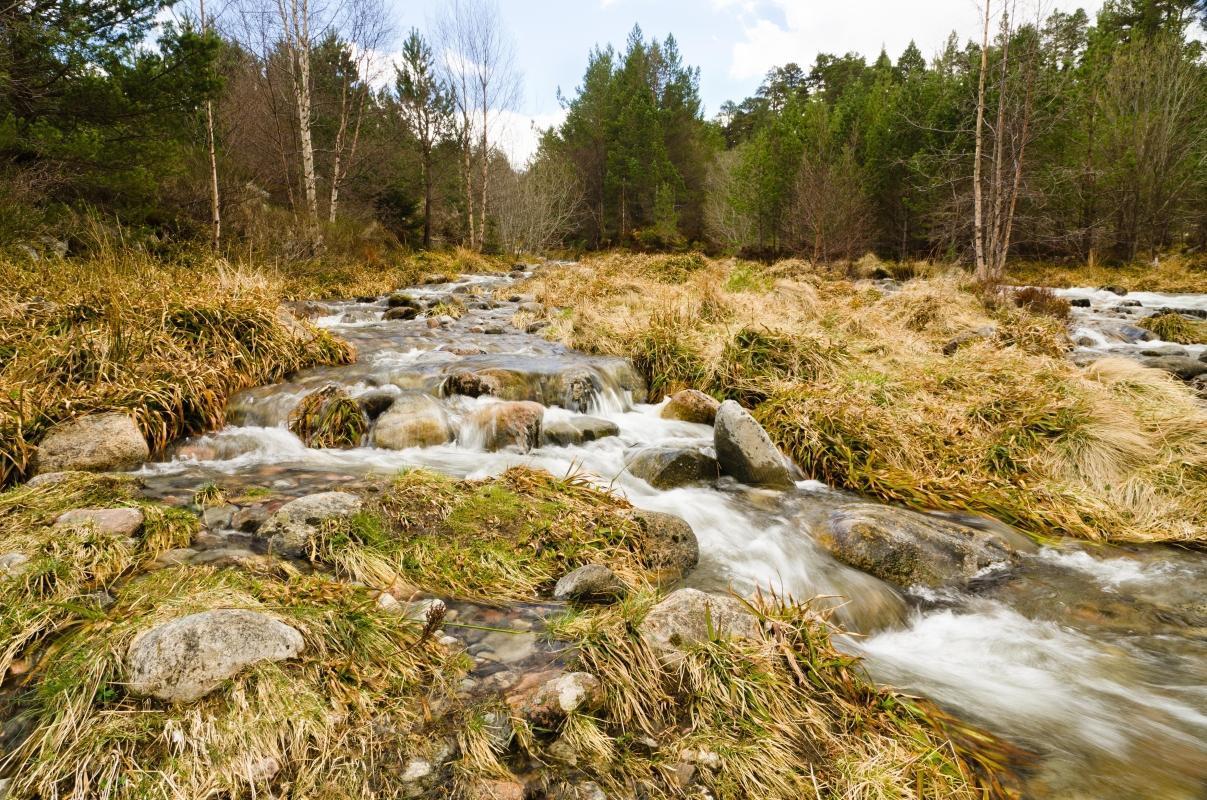 Cairngorms National Park