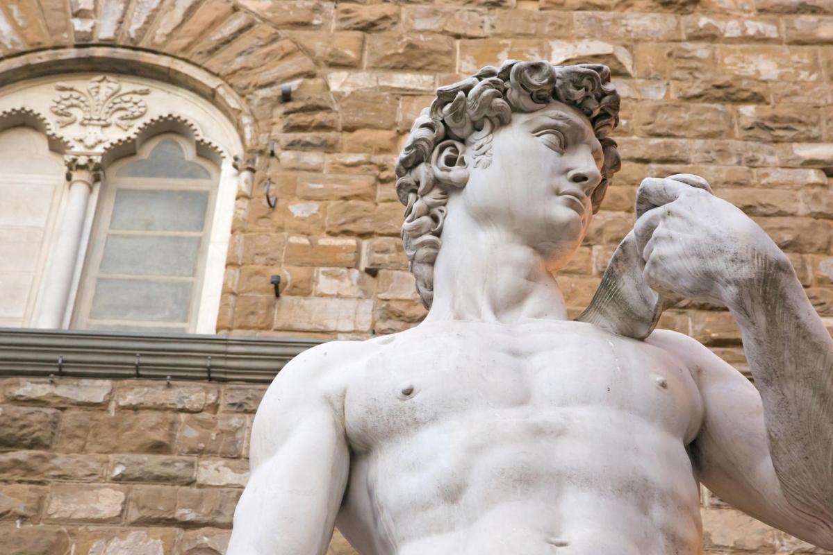 Michelangelo's Statue of David (Il Davide di Michelangelo)